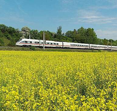 ICE an einem Rapsfeld